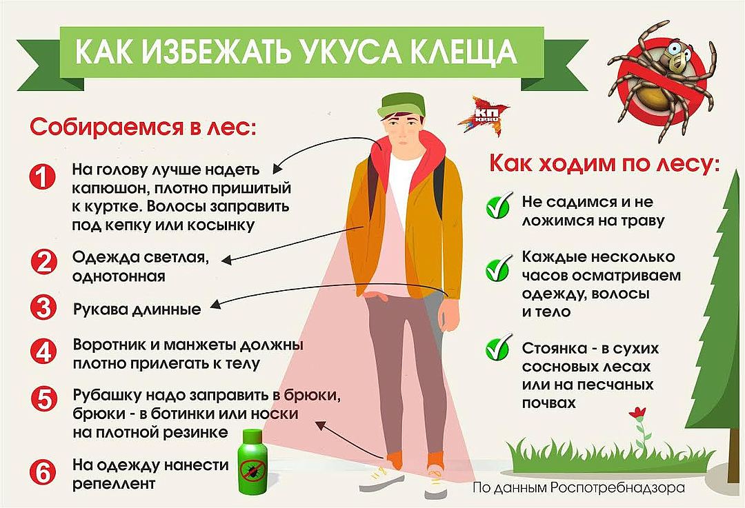Летняя лихорадка